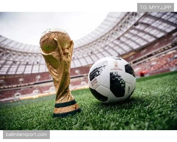 2026世界杯D组完整赛果：6场小组赛信息整理